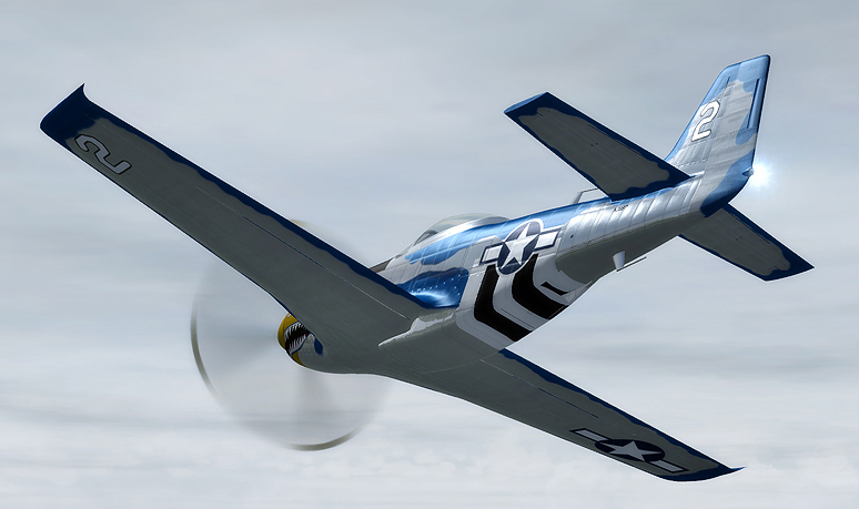 P51Bump